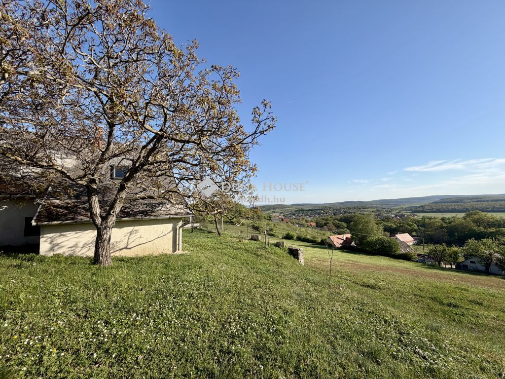 8233 Balatonszőlős , Bagó-hegyi panorámás terület — 1/19