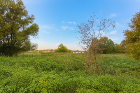 Eladó Telek 2111 Szada , Fenyvesliget