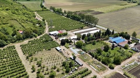 Eladó Mezőgazdasági 3630 Putnok Fehér Tanya 2.