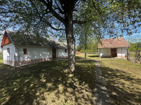Eladó Ház 6000 Kecskemét , ASZFALTOS út mellett, TAKAROS ház, városi vízzel!