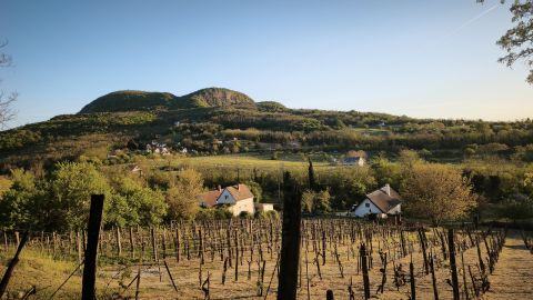 Eladó Telek 8258 Badacsonytomaj 