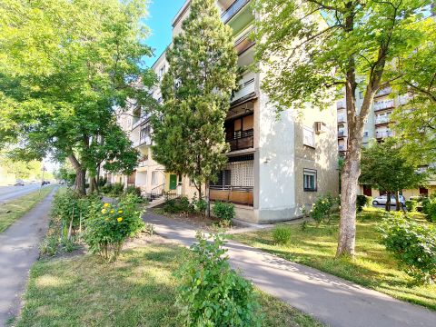 Eladó Lakás 5600 Békéscsaba 