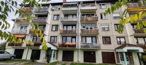 Kiadó Lakás 6000 Kecskemét 