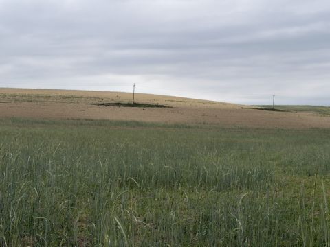 Eladó Mezőgazdasági 2896 Szomód 