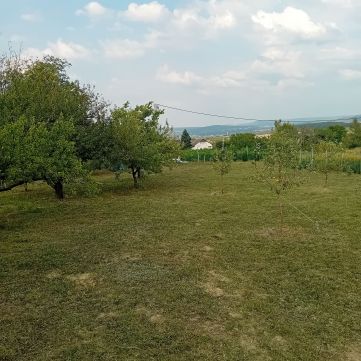 Eladó Telek 2091 Etyek , Vincellér utca
