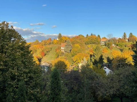 Eladó Ház 2840 Oroszlány Panorámás zártkerti házikó