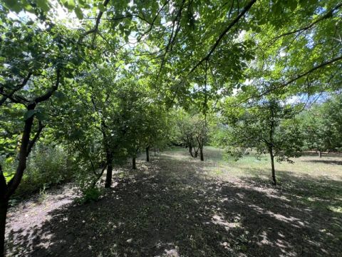 Eladó Telek 4246 Nyíregyháza 