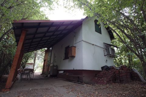 Eladó Ház 6064 Tiszaug Közvetlen vízpart horgászház, nyaraló