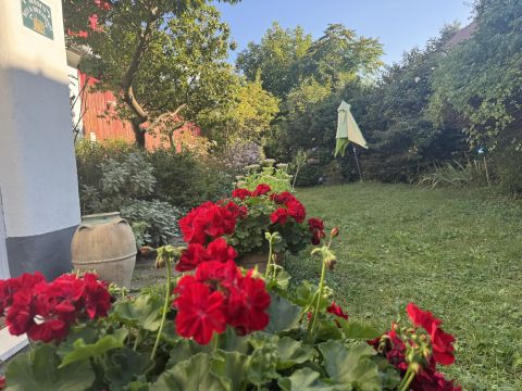Eladó Ház 9824 Olaszfa Csendes zöld környezet