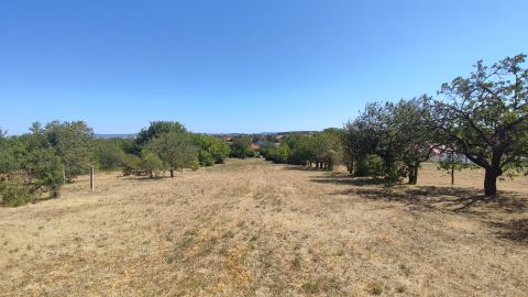 Eladó Telek 2091 Etyek , Öreghegyi út