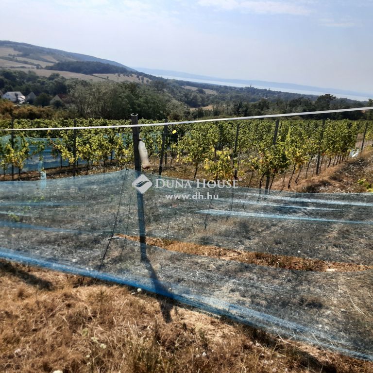 8272 Balatoncsicsó — 1/6