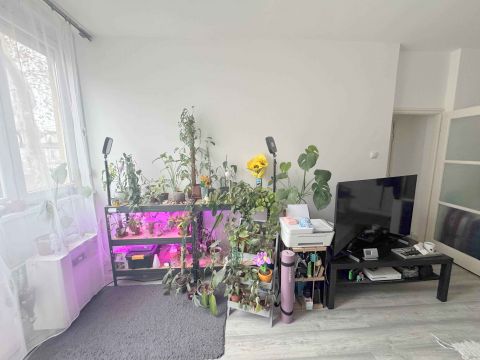 Eladó Lakás 1201 Budapest 20. kerület Csili mellett parkra néző, teljesen felújított és erkélyes!