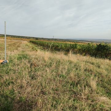 Eladó Telek 9400 Sopron 