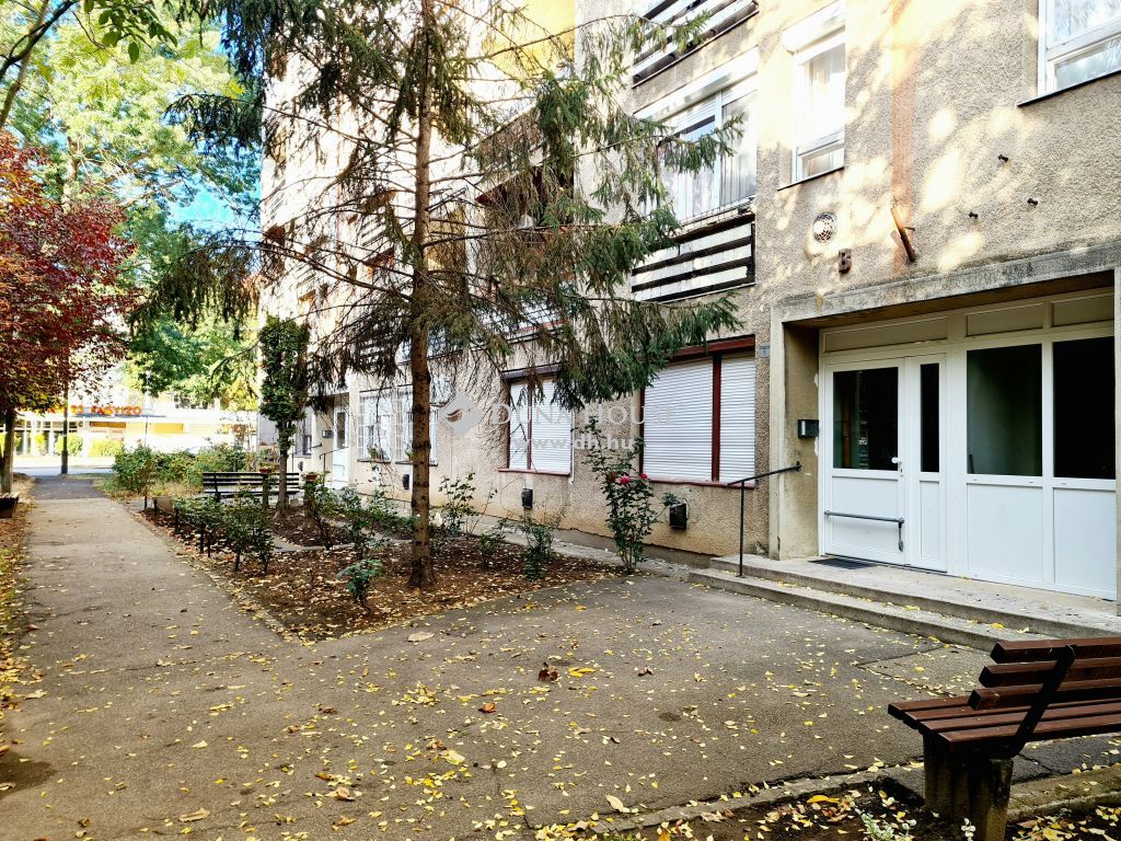 5600 Békéscsaba — 1/19